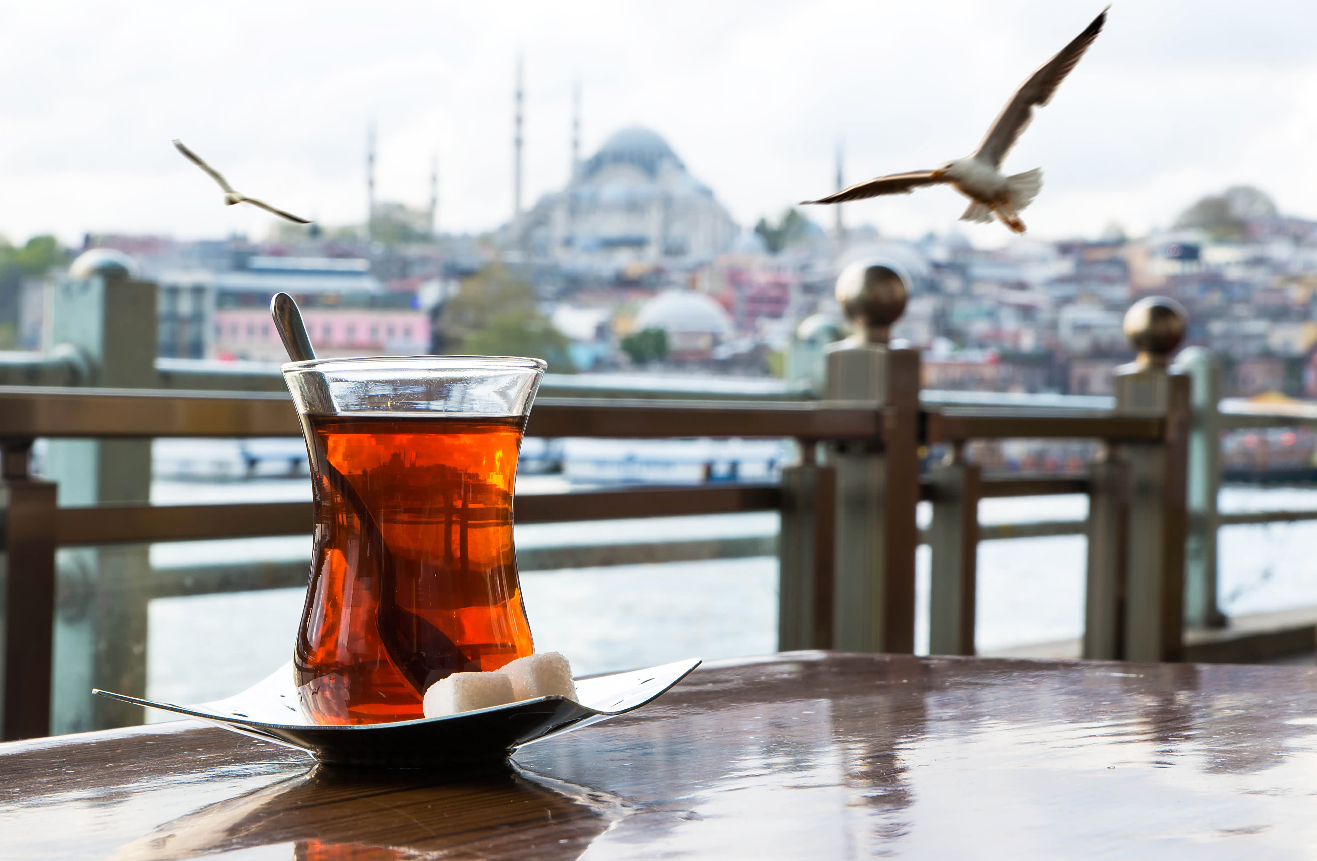 Istanbul: Love at First Sight