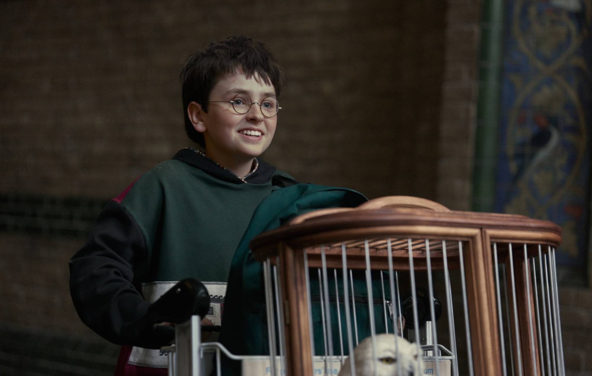 Dominic McLaughlin as Harry Potter in 'Harry Potter' TV series