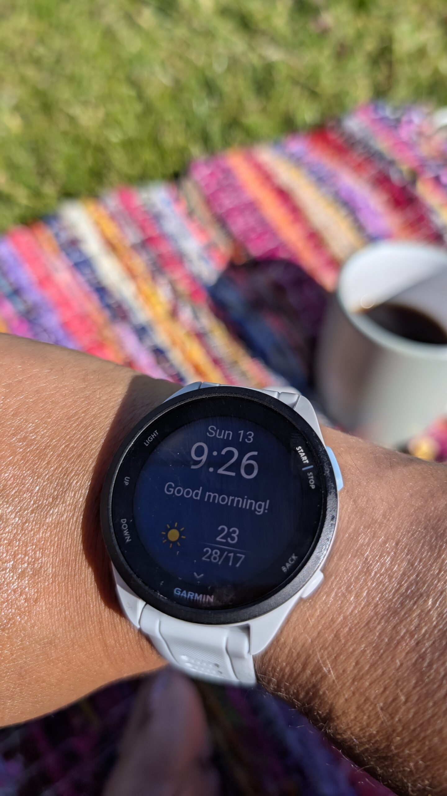 Garmin Forerunner 165 Morning Report