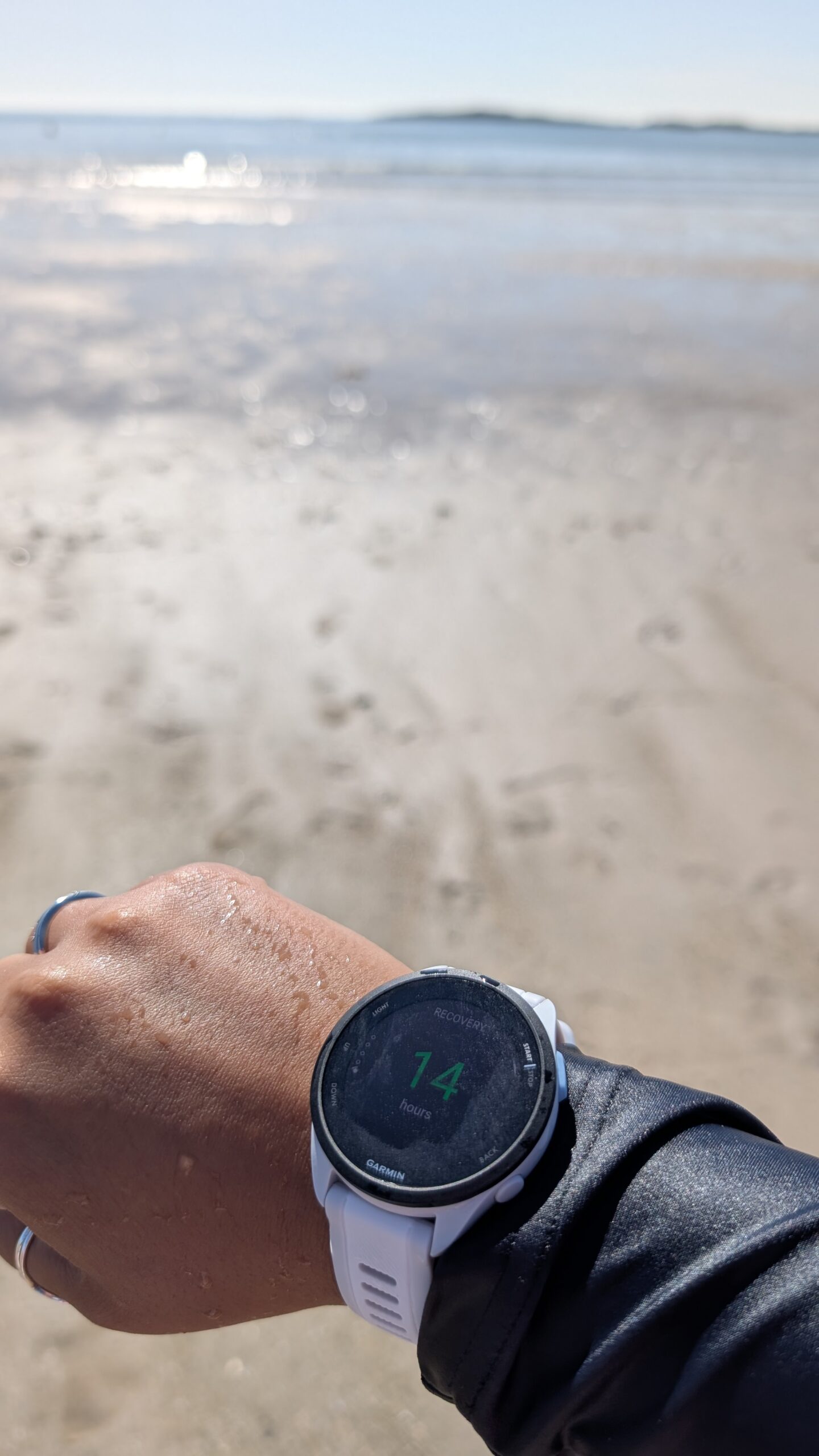 Swimming with the Garmin 165 Forerunner
