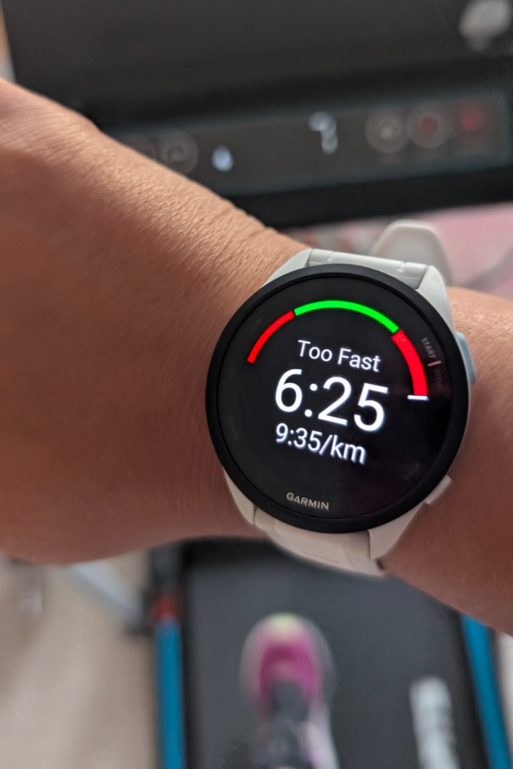 Garmin forerunner 165 smartwatch review