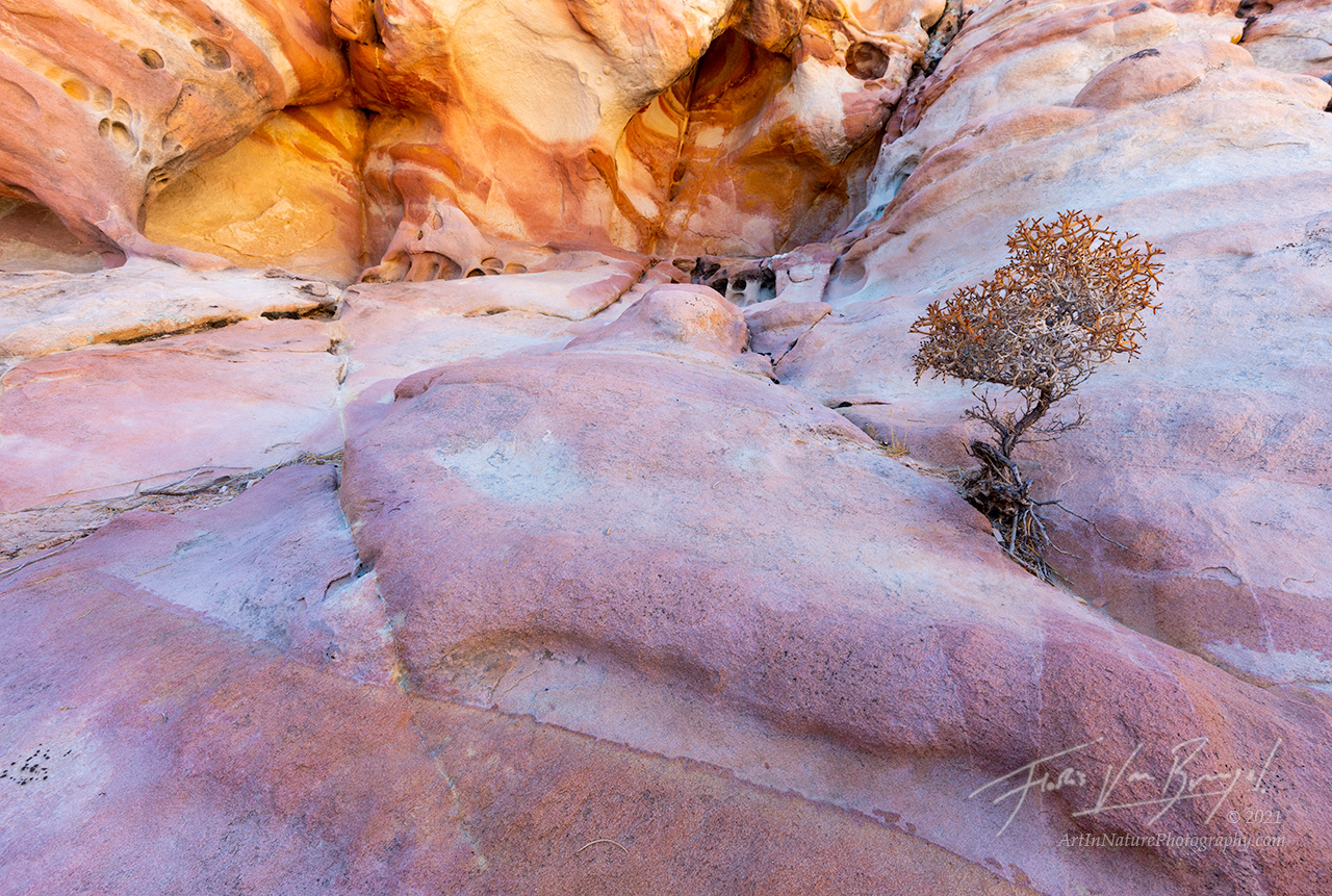 solitude, sandstone, nevada, deserts