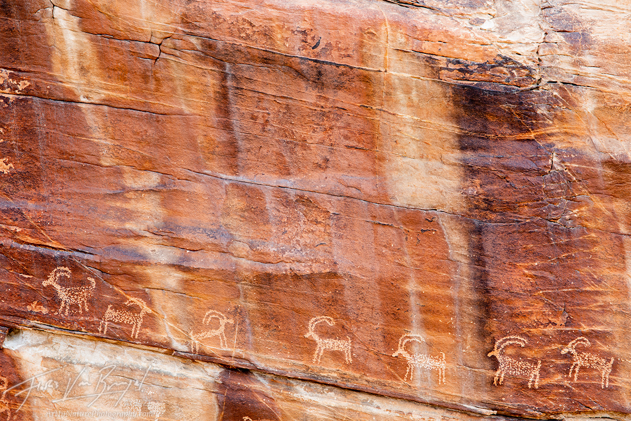 petroglyphs, gold butte nm, nevada, deserts, man in nature