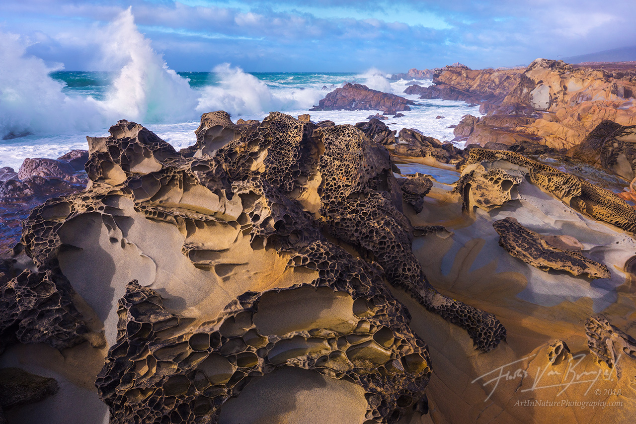 Tafoni, California Coast, Pacific Ocean