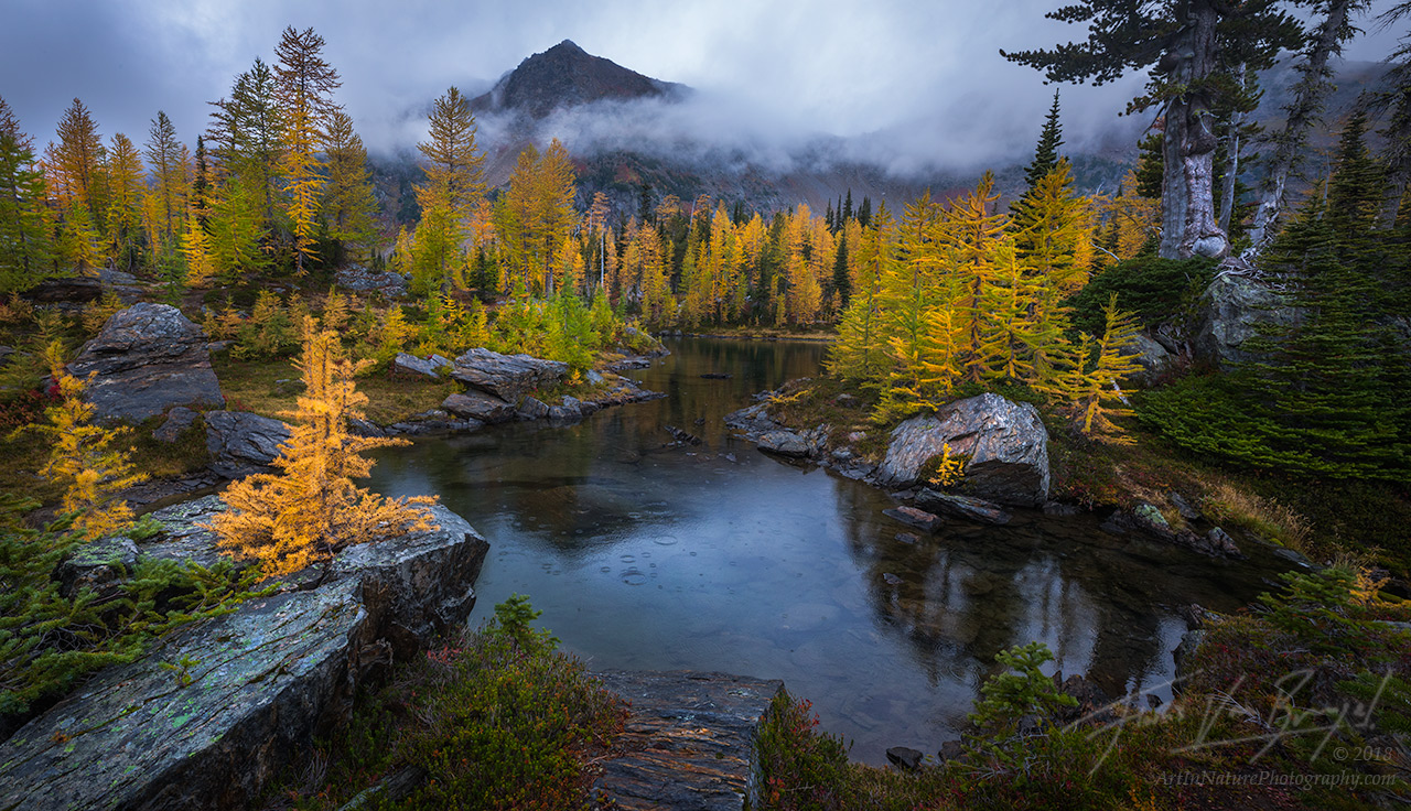 Cascades, Autumn, Rain