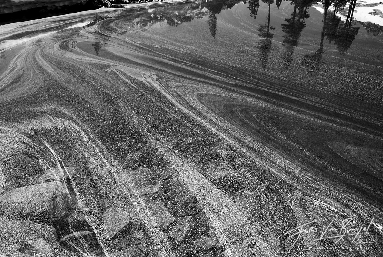Pollen, Desolation Wilderness, Lake Aloha