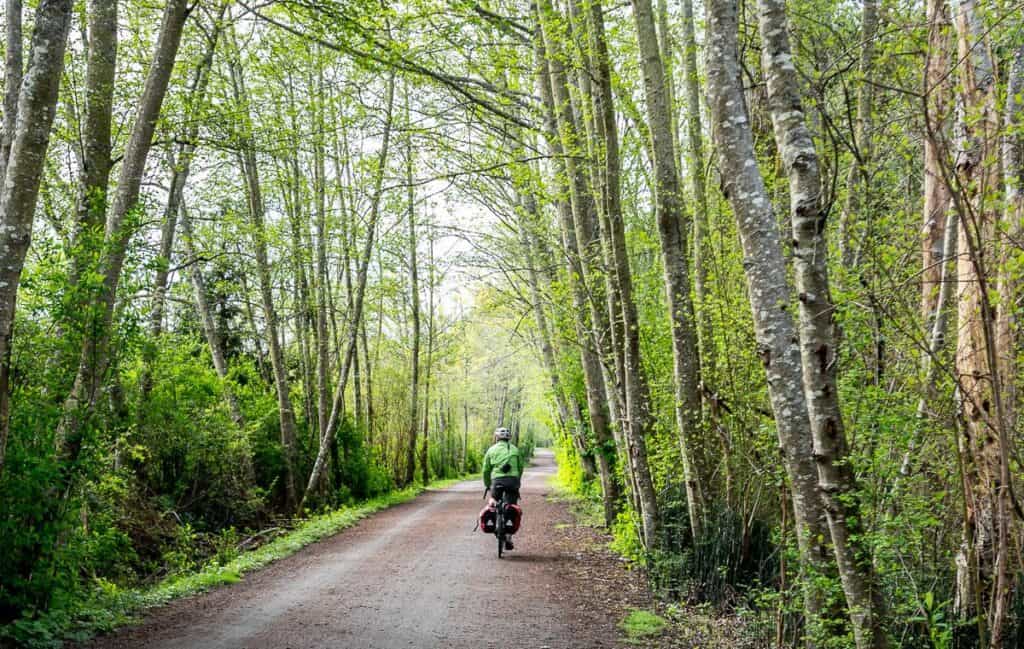 Spring green on the Lochside Trail