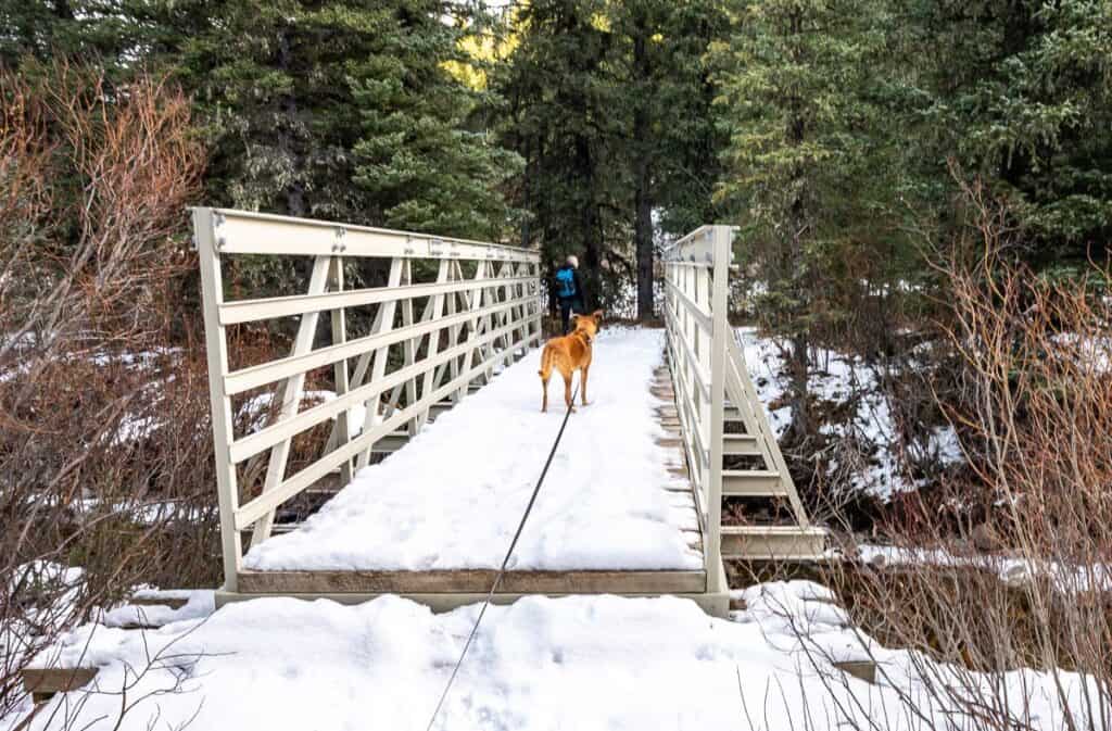 Immediately cross this bridge