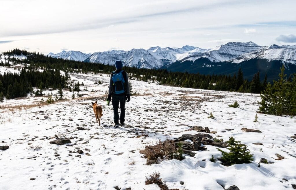 Microspikes came in handy (at least for me) in mid-October when we hiked the Jumpingpound Summit trail