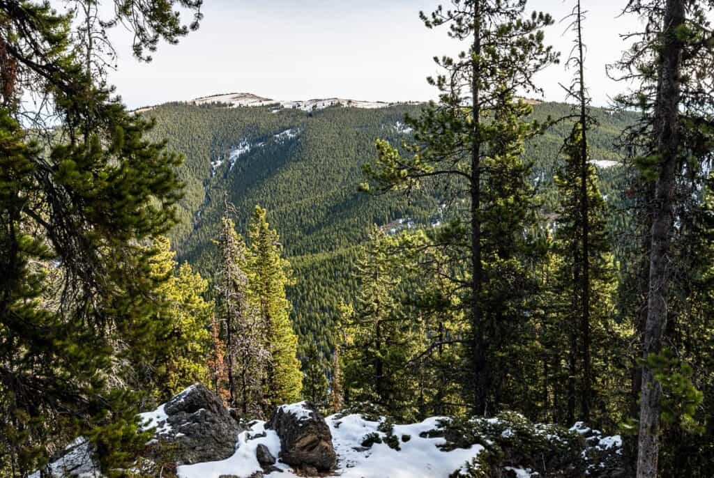 Peek a boo view of Cox Hill part way up to the junction with the Cox Hill trail
