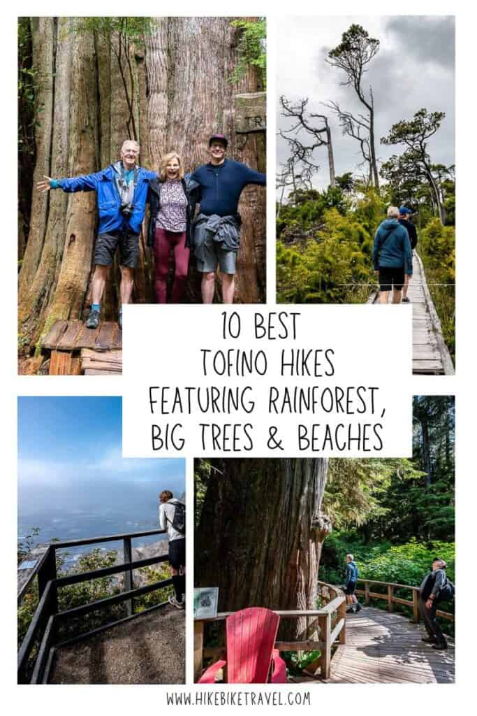 10 best hikes in Tofino featuring rainforest, big trees & beaches