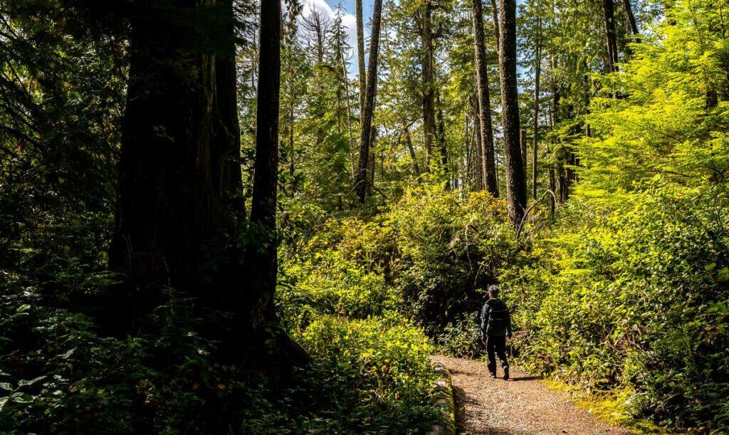 One of the Tofino area hikes that will leave you feeling a sense of awe