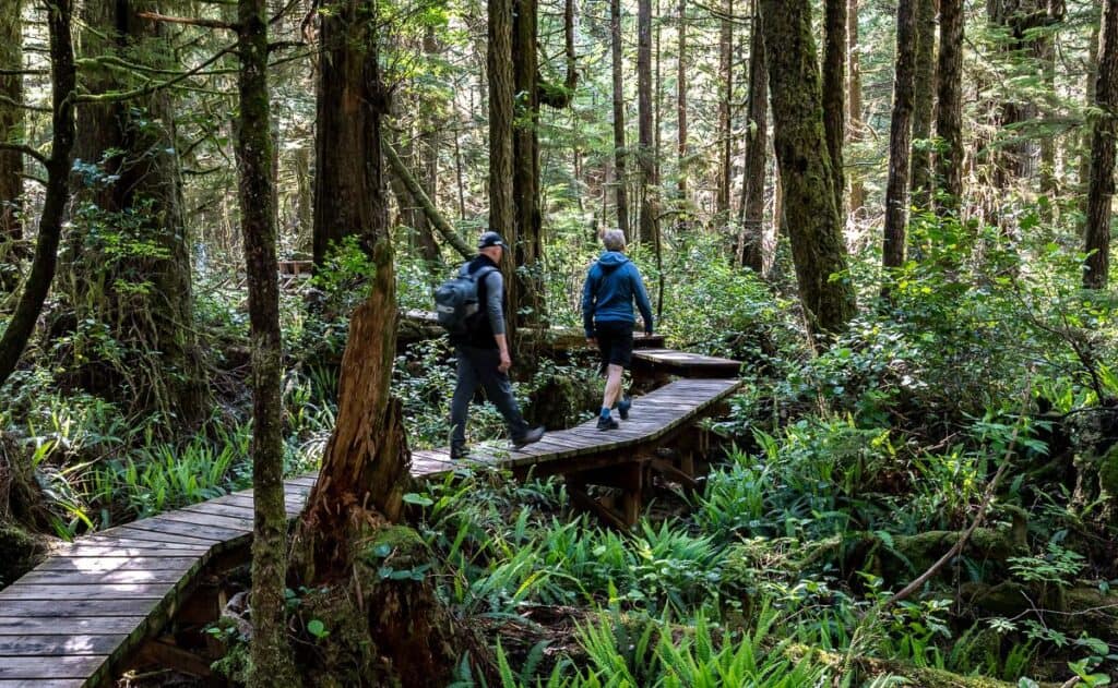 Quick hiking on the Rainforest trails thanks to beautifully designed boardwalks
