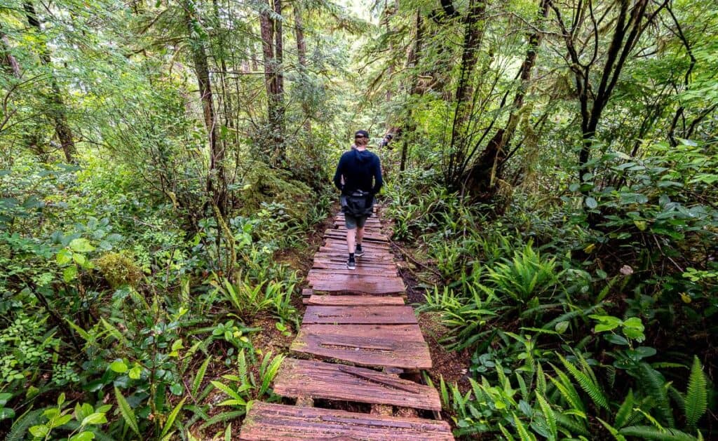 It's an uneven, rough-hewn cedar logs makes for tricky hiking for some people