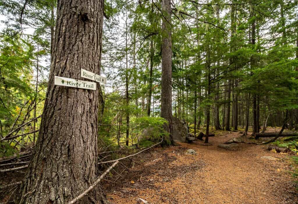 I found signage in all the right spots on the Kaslo River Trail