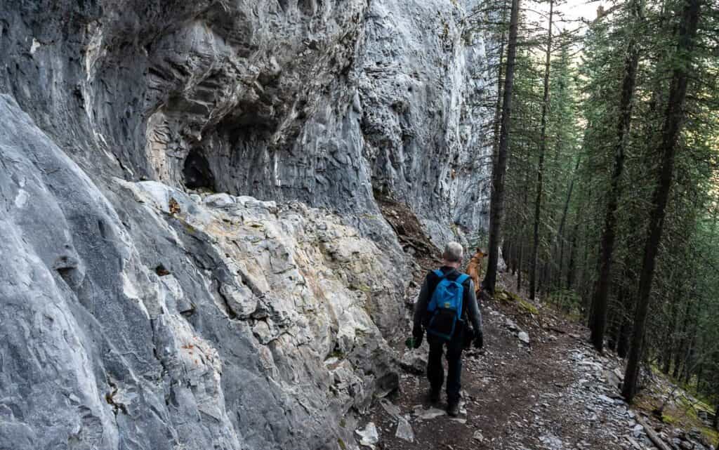 We loved the steep hike down from the top of Vents Ridge to meet up with the Prairie Creek trail