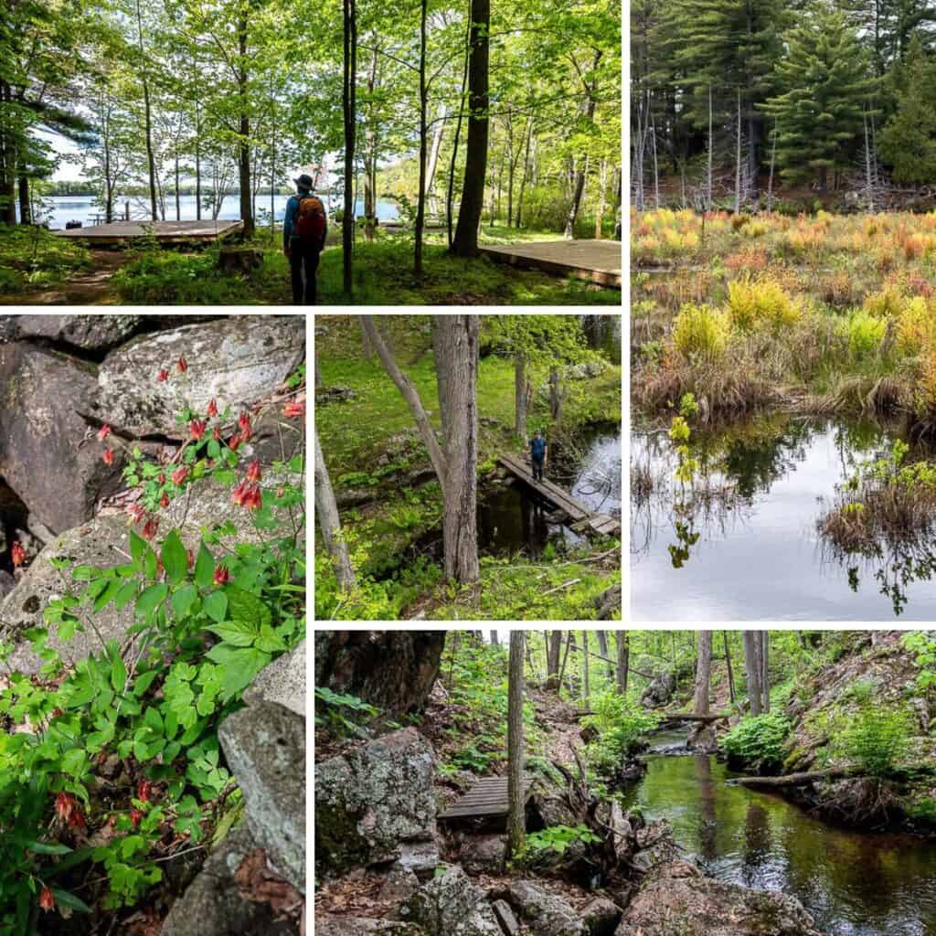 Photos of Campsite 5 and the Small Slide Lake Loop