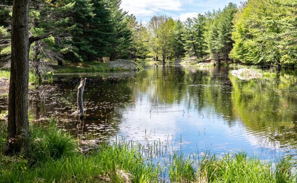 Pretty section on the Small Slide Lake Loop in Frontenac Provincial Park