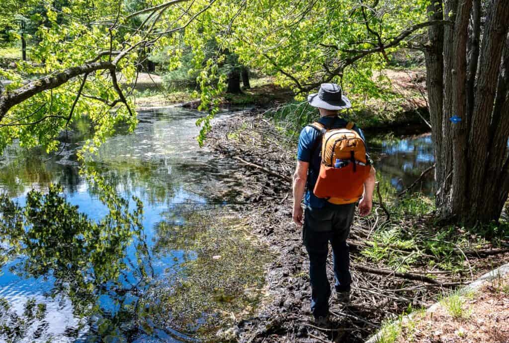 Do not fill water bottles anywhere near a beaver dam