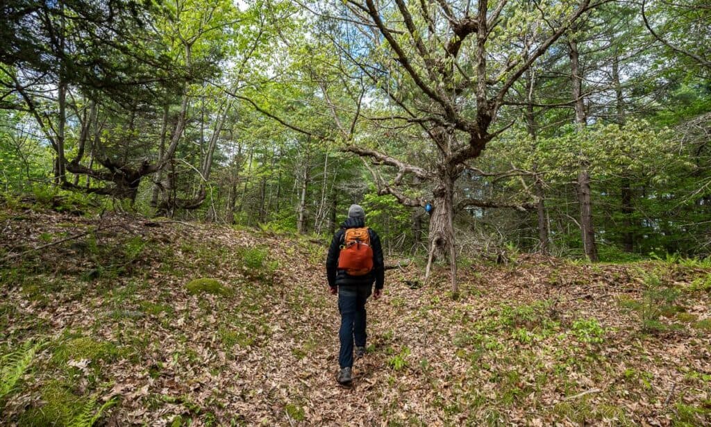 Pretty hiking just out of Campsite 17