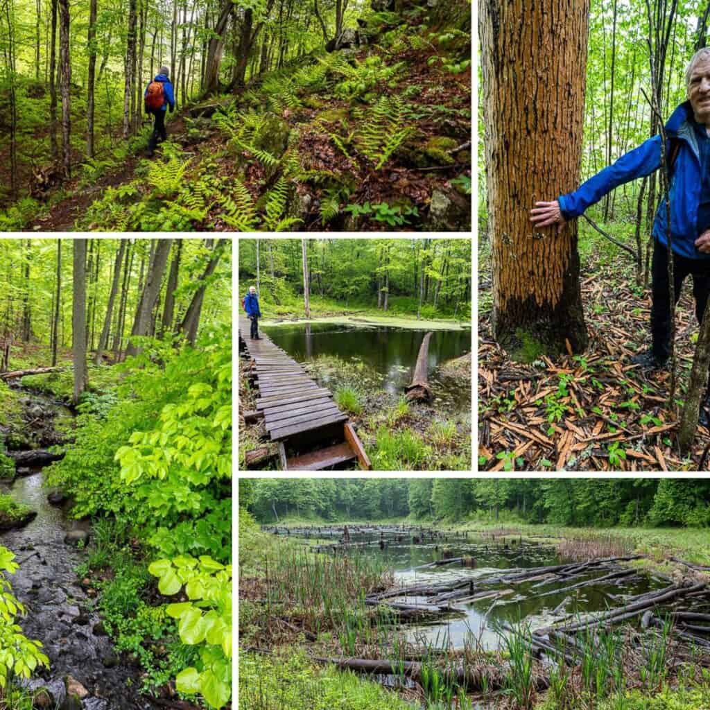 Wet muddy hiking on the Gibson Lake and Tetsmine Lake Loop