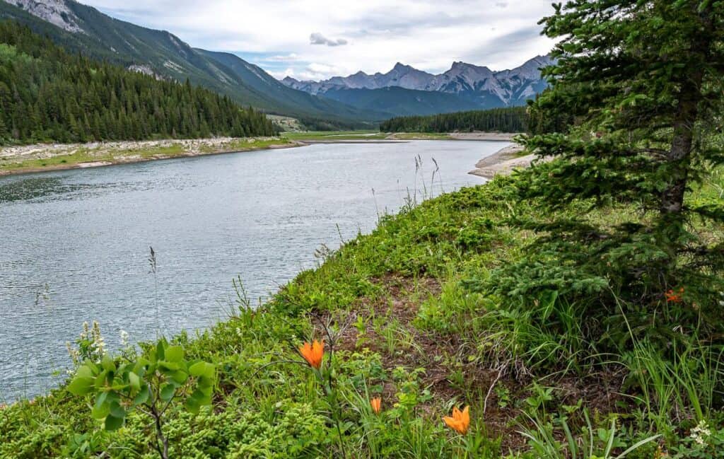 The upper campground at Jewell Bay has some nice views