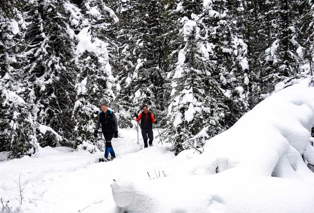 We were lucky to have excellent snow conditions for snowshoeing in Peter Lougheed