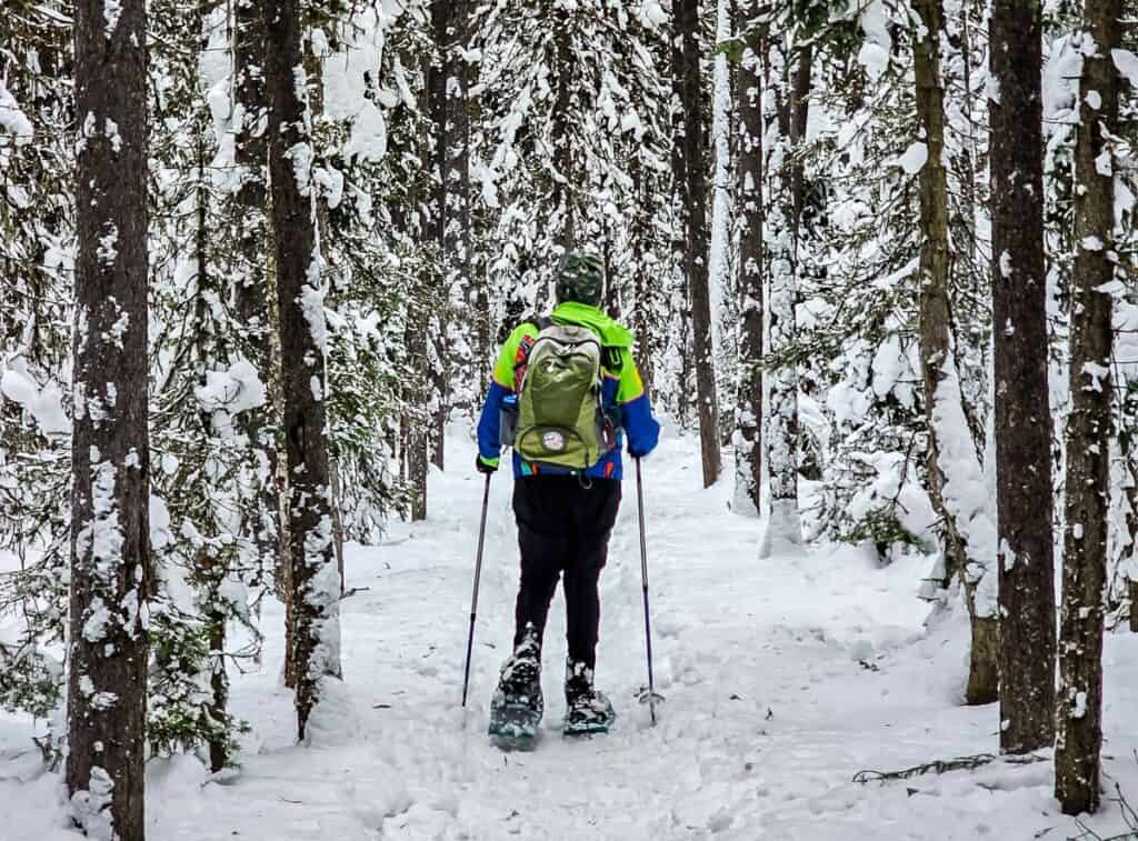 Snowshoeing in Peter Lougheed Provincial Park, Kananaskis