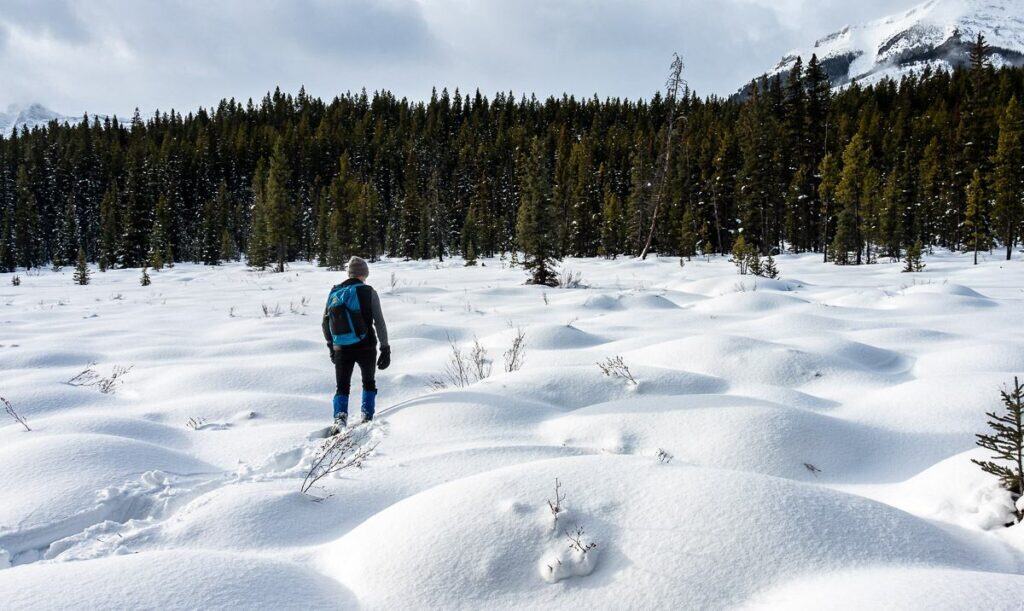 Man exploring snowy mounds just off the Frozen Toad Trail