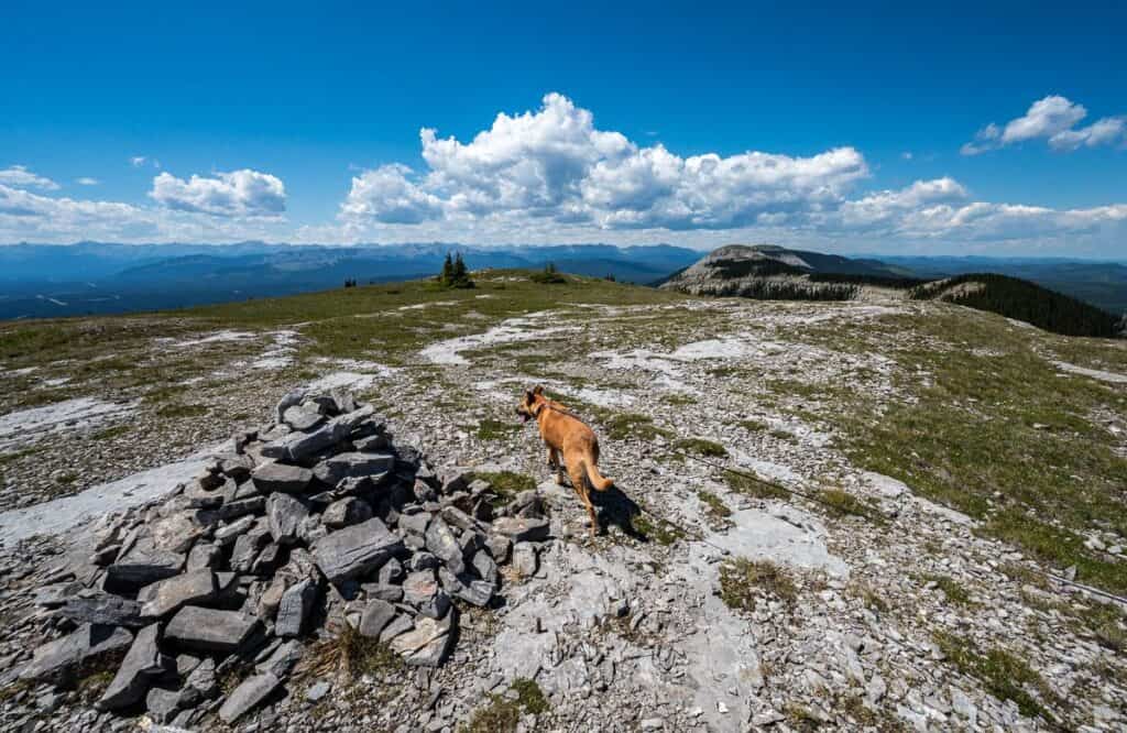 Looking across from the east summit to Coliseum Mountain