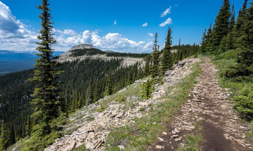 The easy part of the Coliseum Mountain hike - with some nice views to go along with it