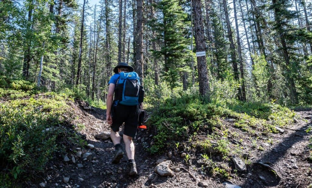 There are enough well-places signs to know that you're on the hike to Coliseum Mountain