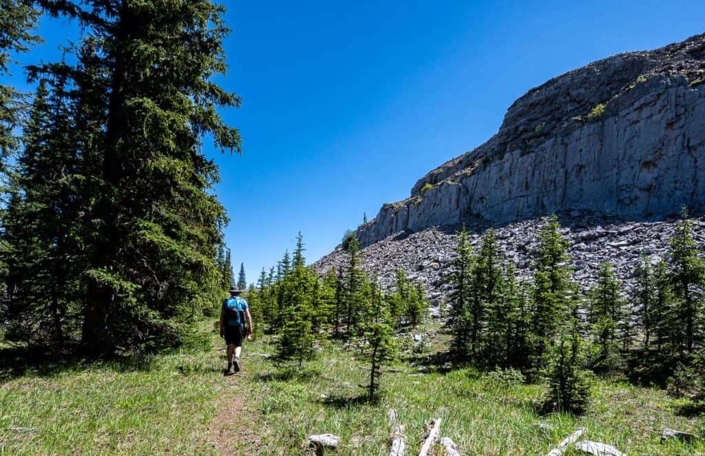 There's an unsigned trail junction before you swing left towards Coliseum Mountain