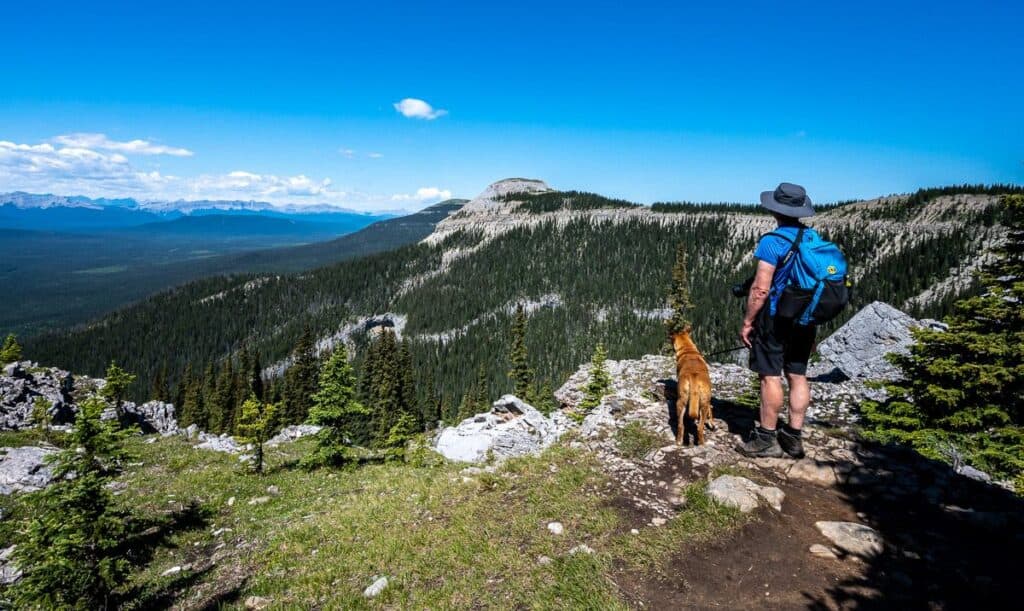 Looking over to Coliseum Mountain from the top of the switchbacks