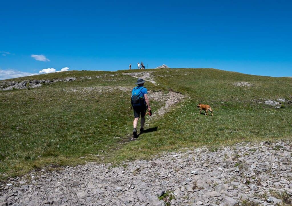Grassy slopes lead the way to the cairn on the summit 