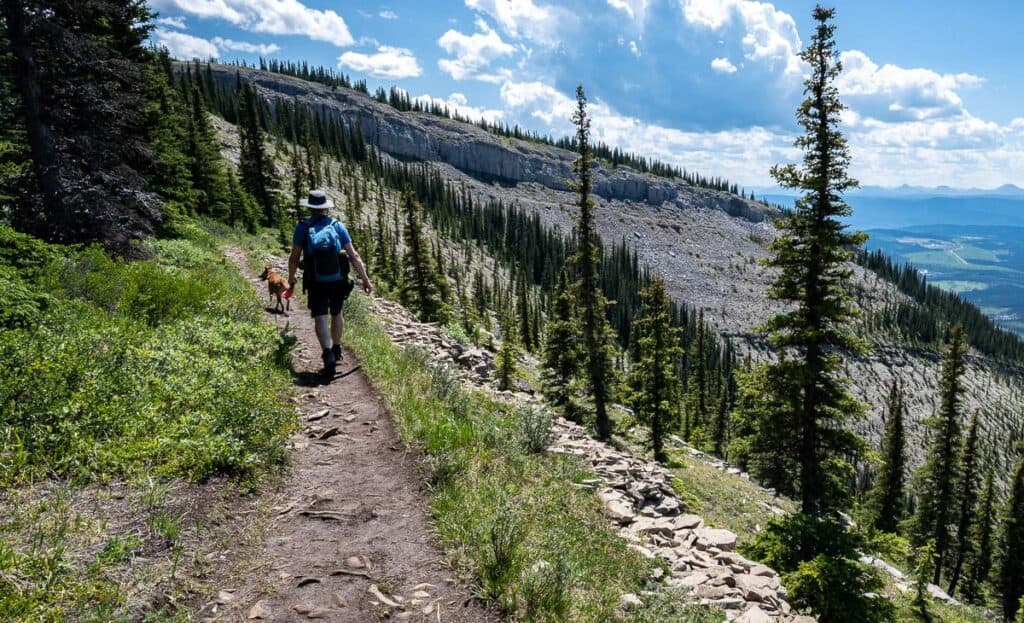 We always pack the hiking essentials - no matter how short or long the hike