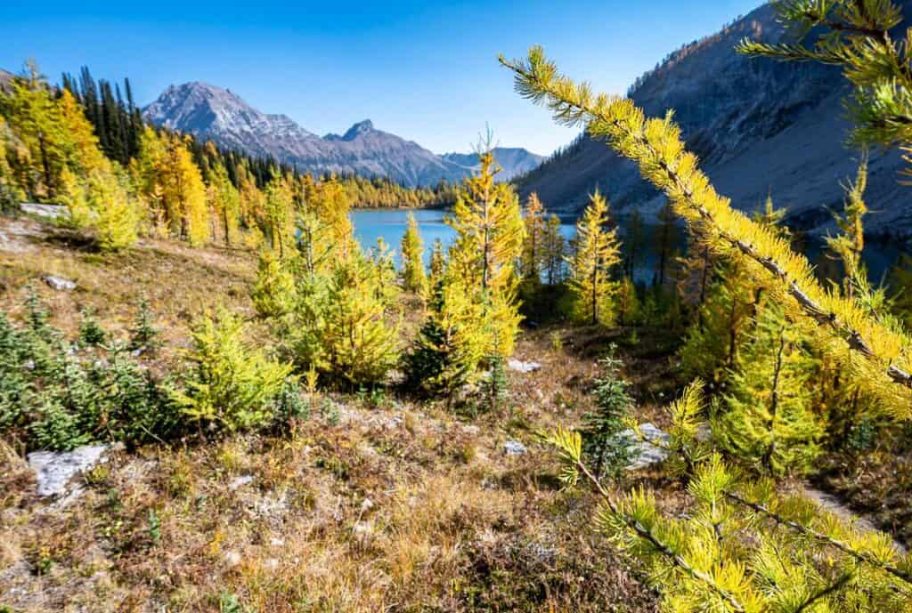 
At the end of the lake you can climb up for better views - and start heading upwards towards The Judge