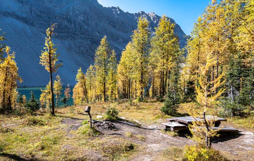 The backcountry campsite at Diana Lake