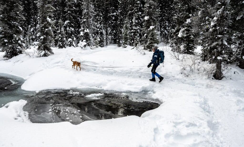 Man and dog after crossing a creek via a snow bridge on route to Gypsum Ridge