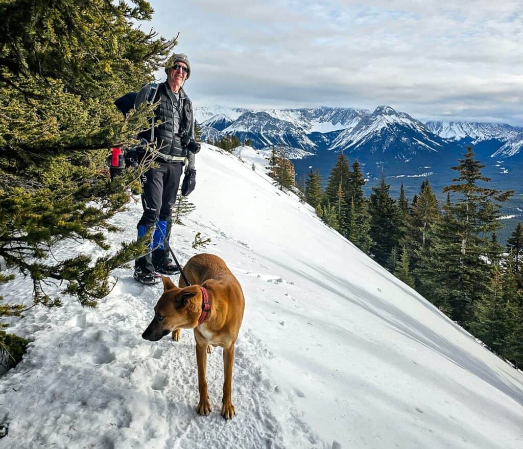 Mila the dog at the summit of the Gypsum Ridge hike in Peter Lougheed Provincial Park