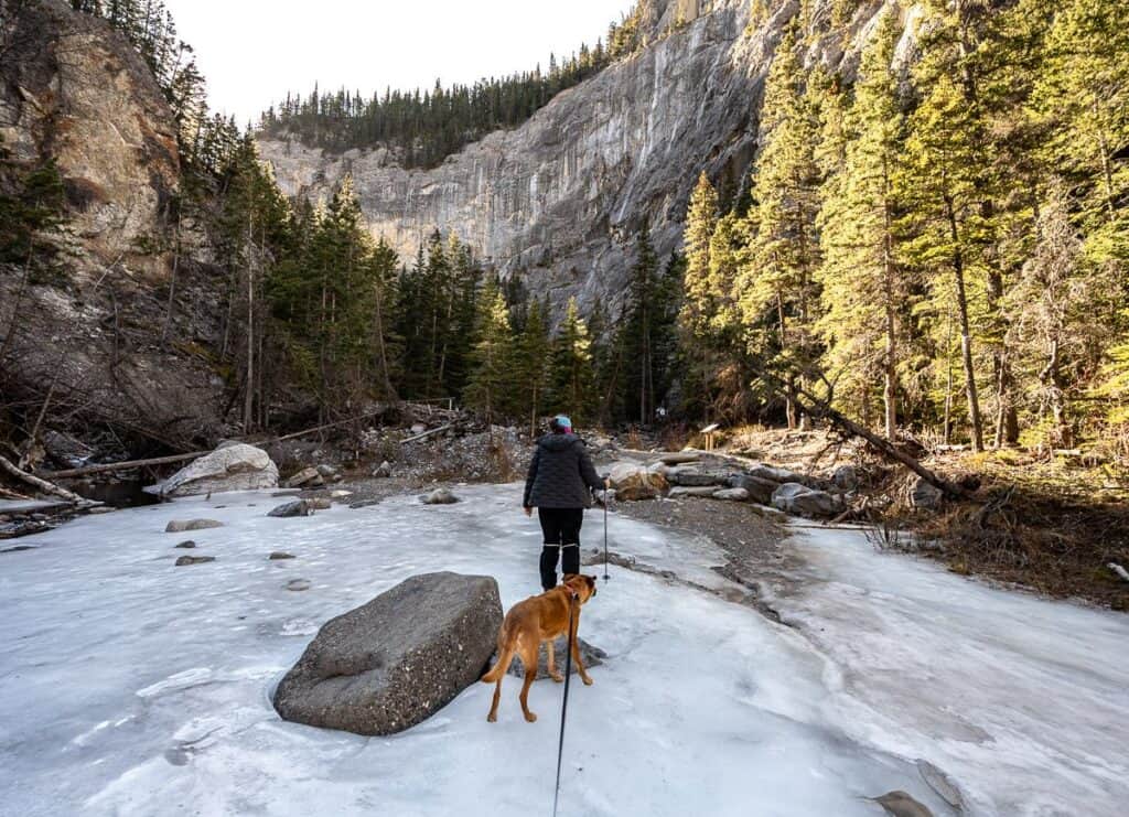 Hiking the icy Heart Creek to reach the canyon in Kananaskis
