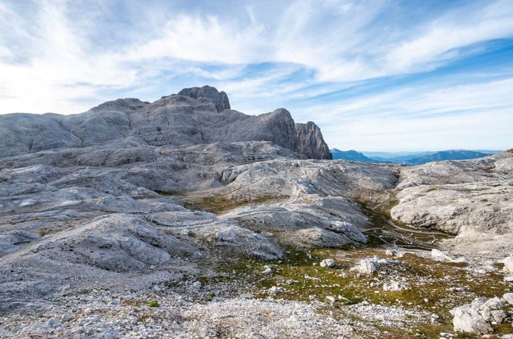 Loads of trails  emanating from the Rosetta Hut area