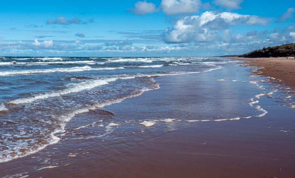 In late September the water at Brackley Beach was still warm enough to walk in