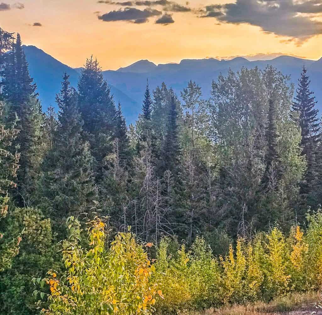 View from my condo close to Kicking Horse Mountain Resort in Golden