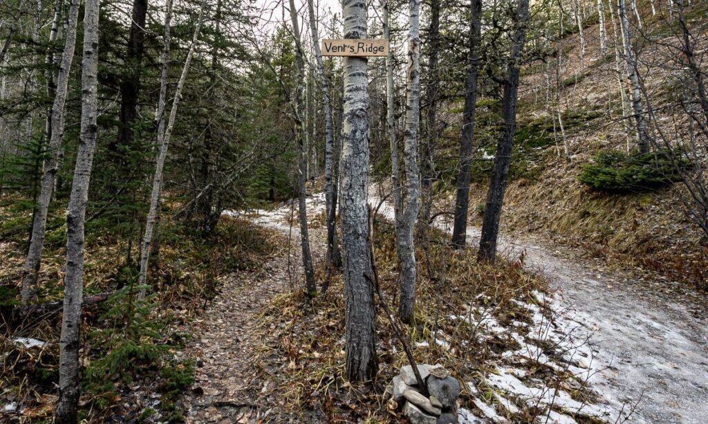 Note the Vents Ridge sign seen from the Prairie Creek trail