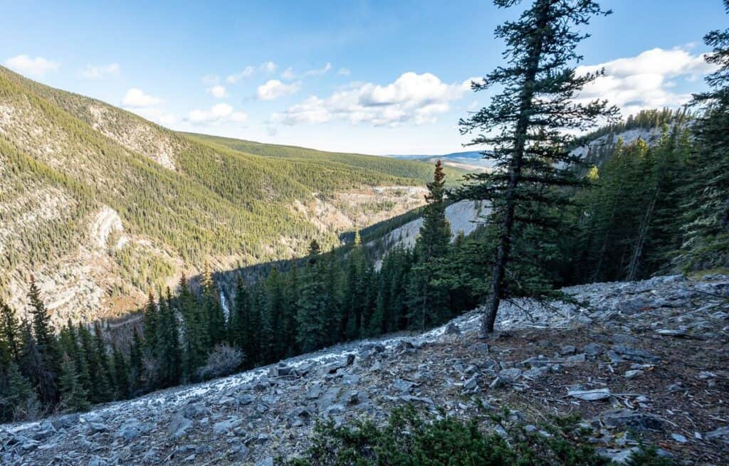 Looking steeply down from Vent Ridge to the Prairie Creek trail