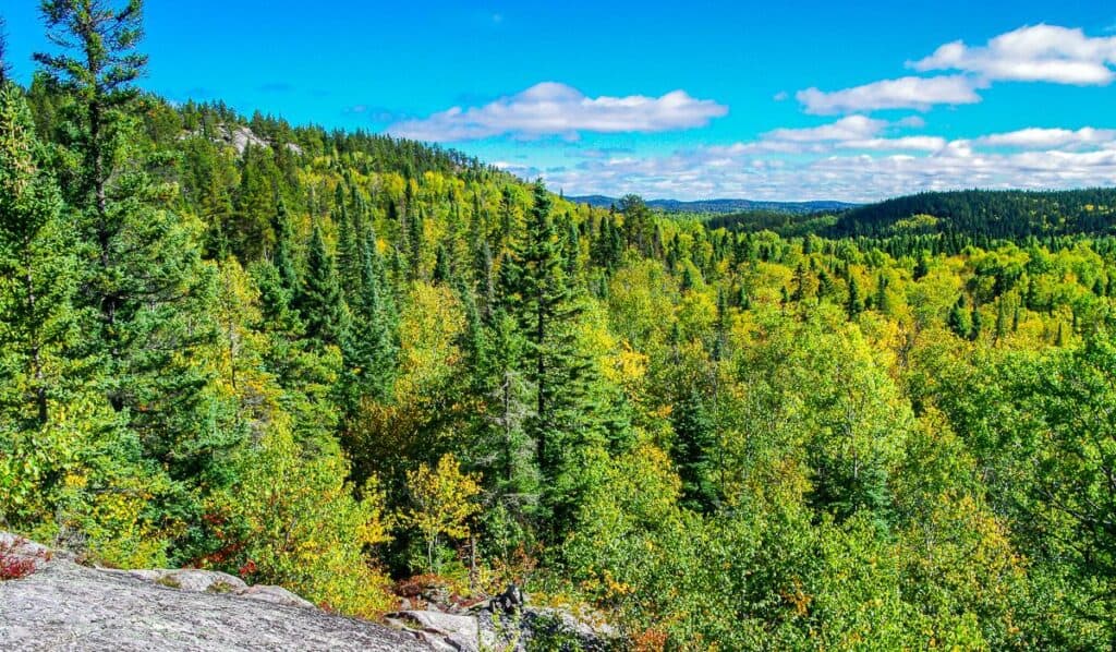 Backpacking the Coastal Trail on day 5 towards the White River