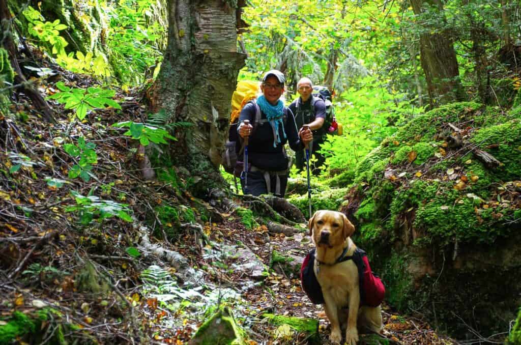 Hiking the Coastal Trail in Pukaskwa through the woods