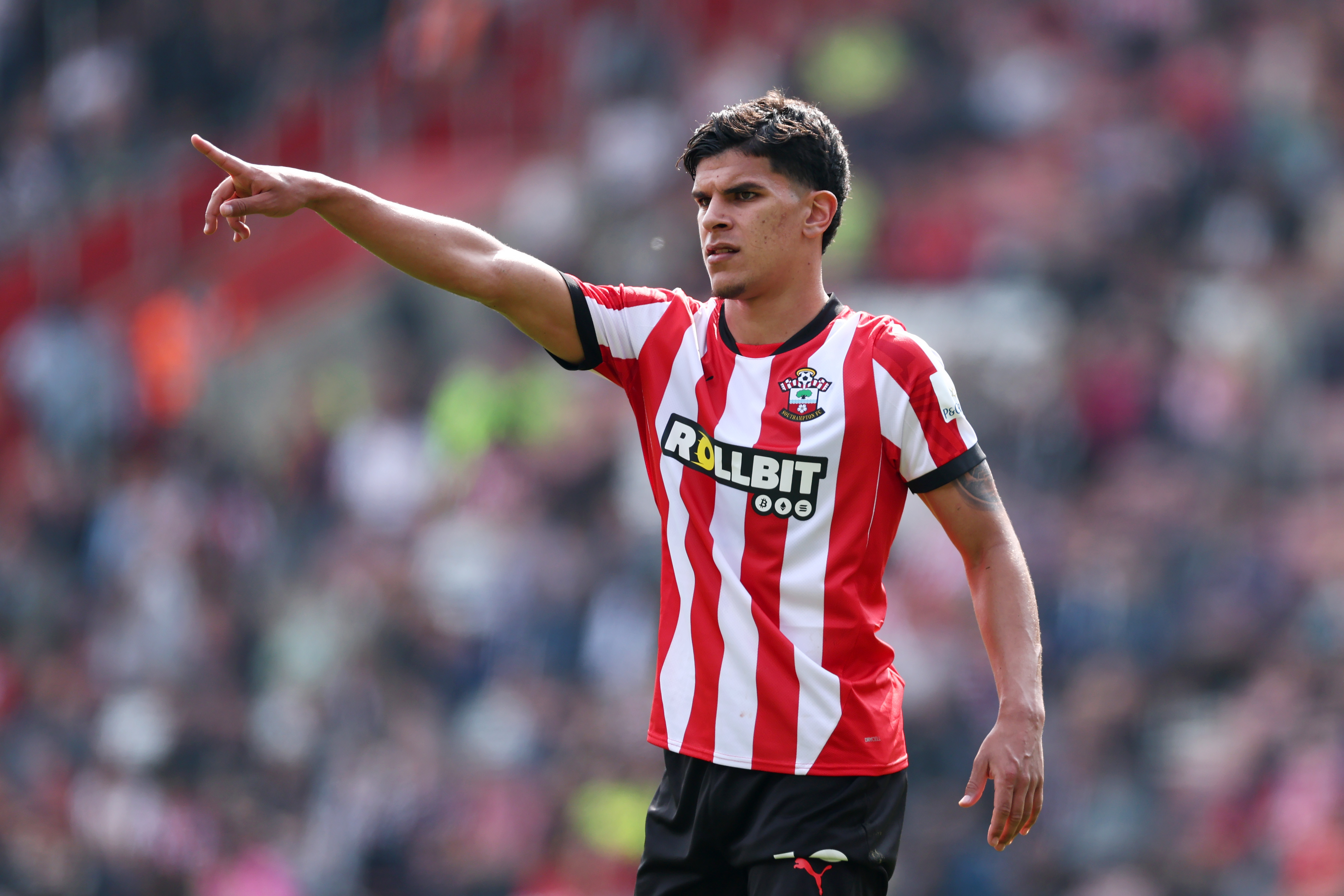 Mateus Fernandes in action for Southampton
