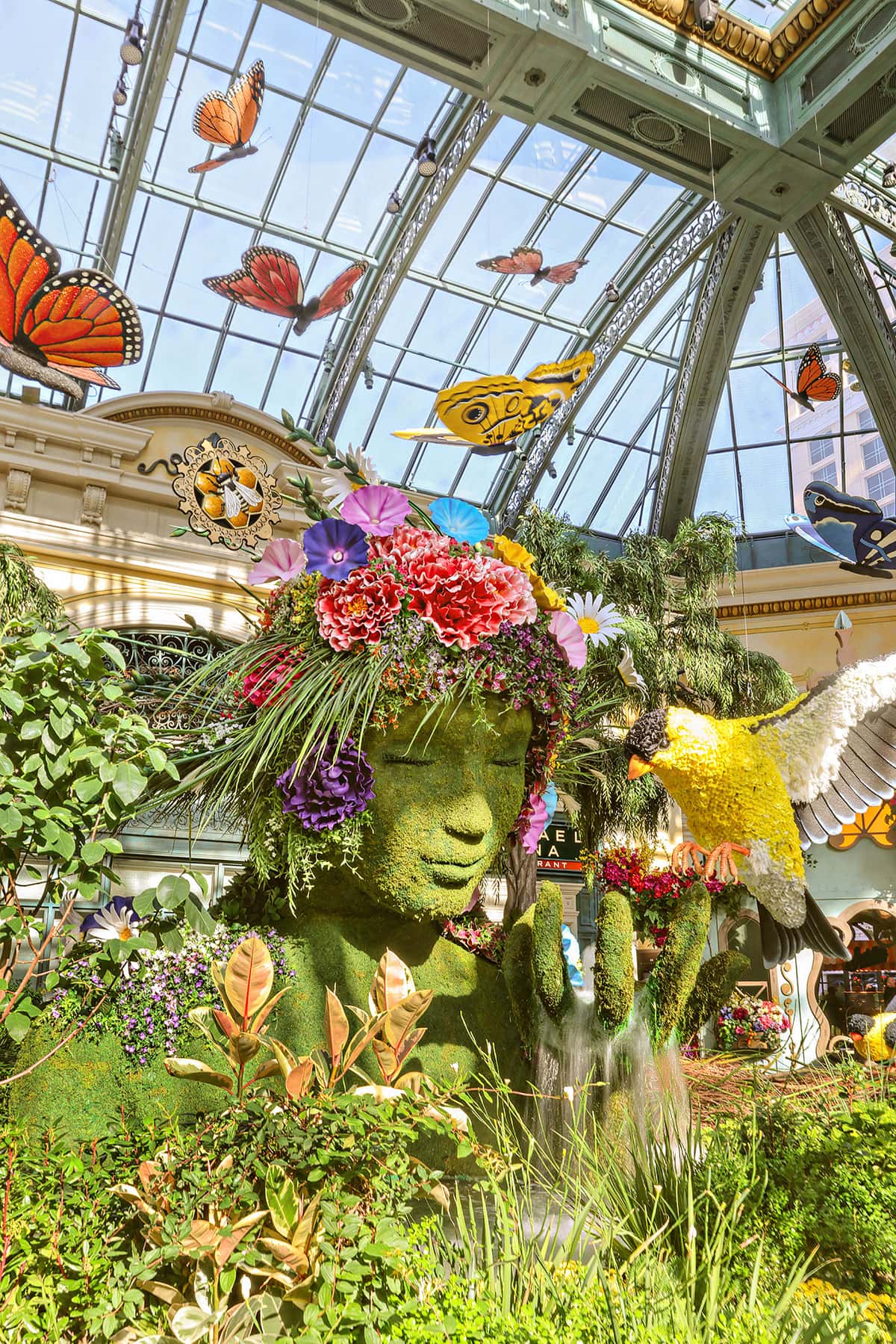 bellagio conservatory spring 2025